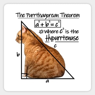 The Purrthagorean Theorem to find the hypurrtenuse Magnet